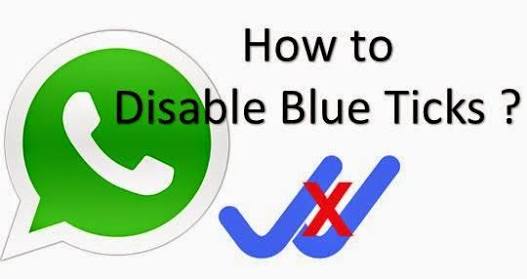 Cara Menghilangkan Tanda Online dan Centang Biru Di Whatsapp